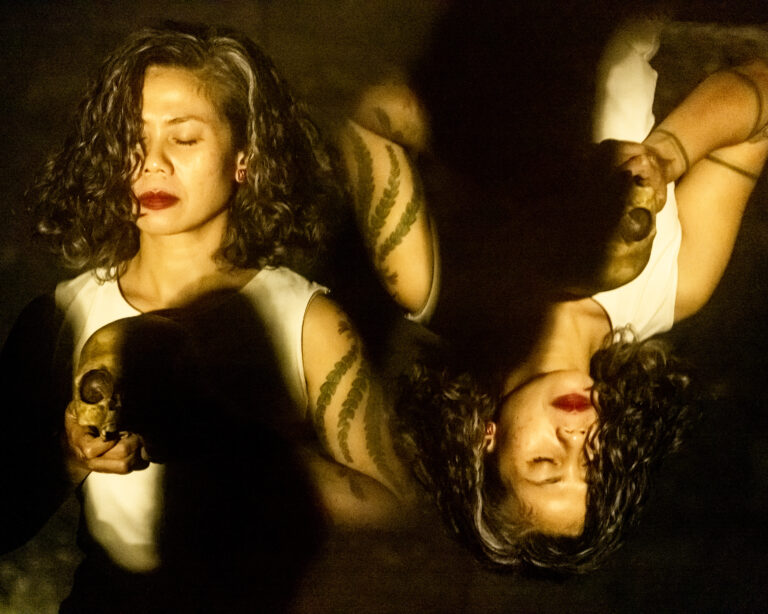 Kematian yang Penuh, Ada Magma dalam Tubuhku. Catatan atas The Death of Dance oleh Fitri Setyaningsih